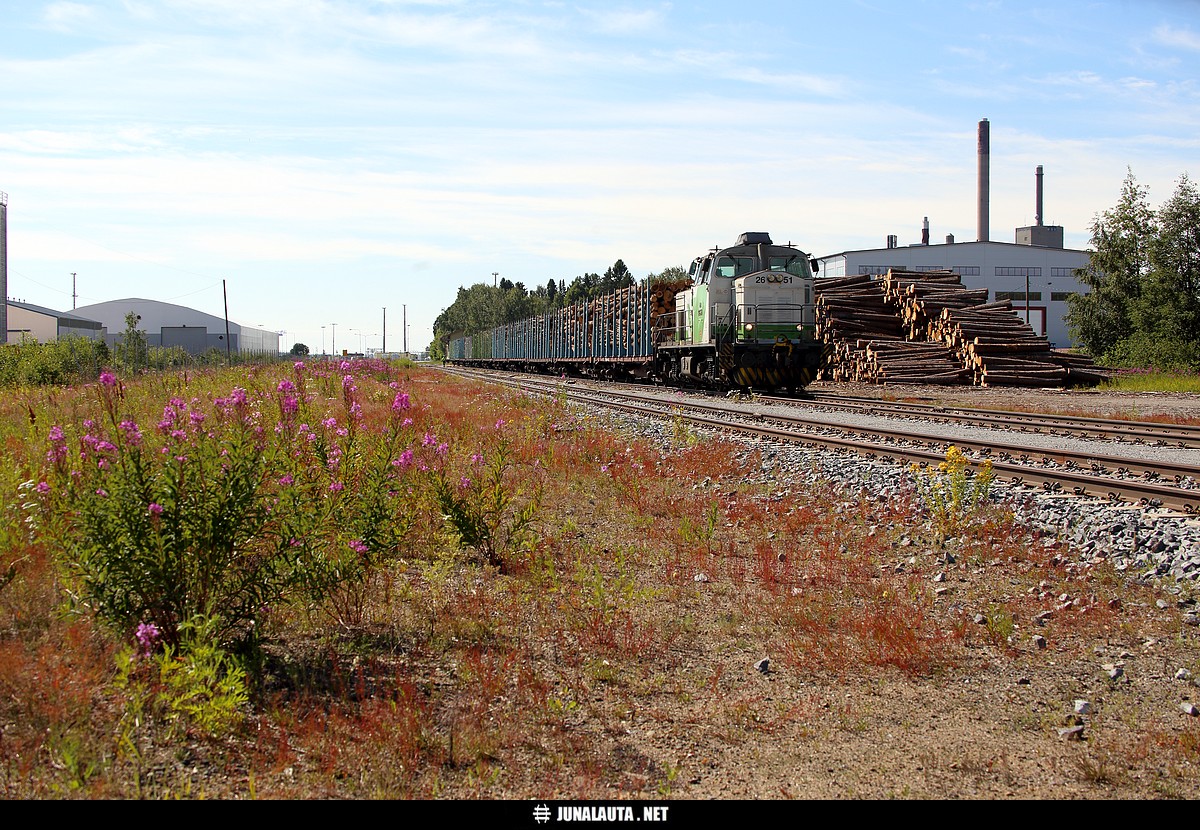 Vaskiluotolaine
Avainsanat: vaskiluotolaine raakapuujuna Dv12_2651 T58818 20180706