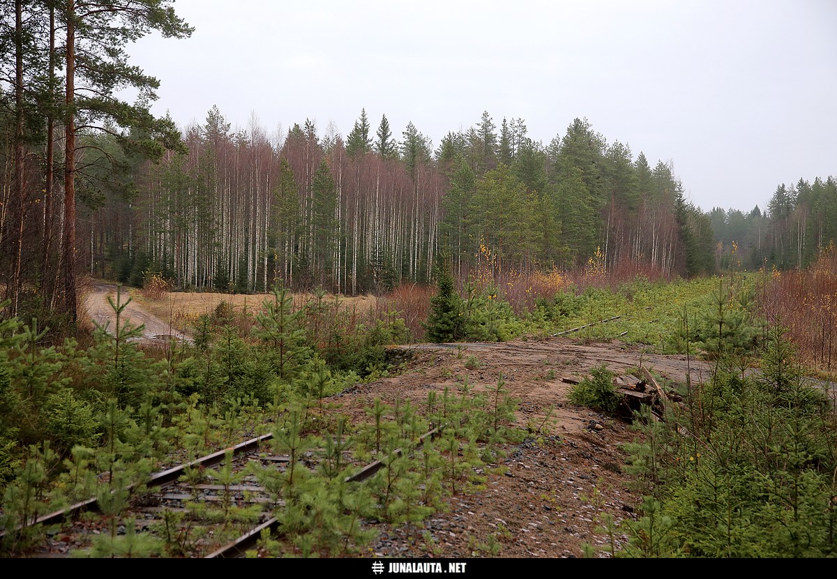 Rintamäki 0438+0605 @ Kihniö 30.10.2020
Poistettuja tasoristeyksiä lakkautetulla Parkano-Kihniö -radalla, osa xyz. 

Kaikkia ei ole poistettu, jäljellä olivat vielä ainakin sekä Puskan että Linnankylän aseman tasoristeyskannet...
Avainsanat: poistettu_tasoristeys 20201030